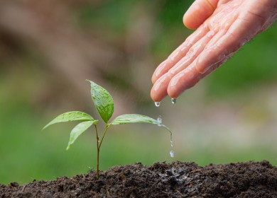 Twee keer zo snel Co2 reduceren?