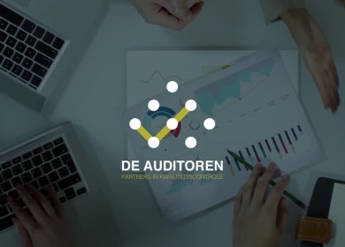 De Auditoren